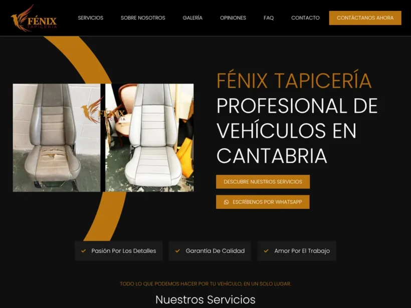 Fénix — перетяжка салонів автомобілів (Кантабрія, Іспанія)